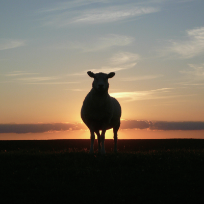 love an aries blog post coverphoto