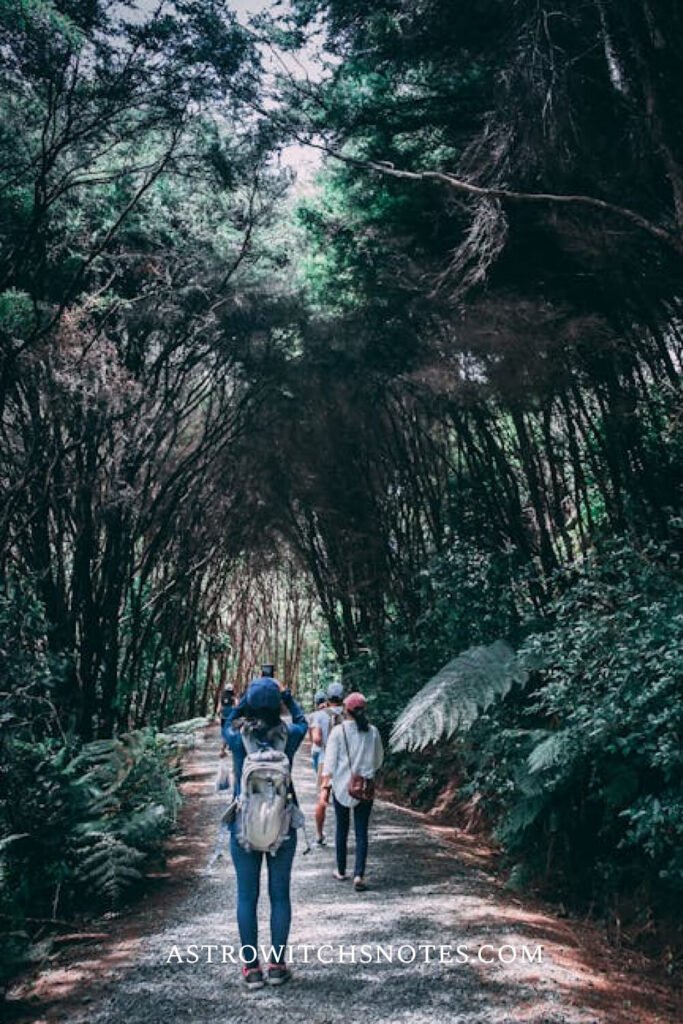 Friends are walking in a forest. The image is in the article about how to have a best friend like cancer zodiac.