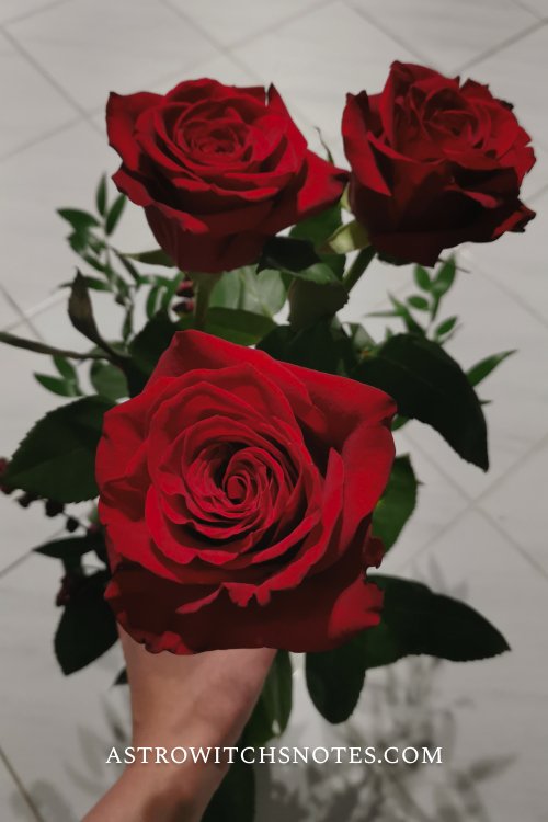 libra love compatibility blogpost astro witchs notes